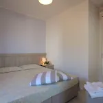 فيلة In Casa *