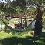 فيلة In Casa تْشيفالو